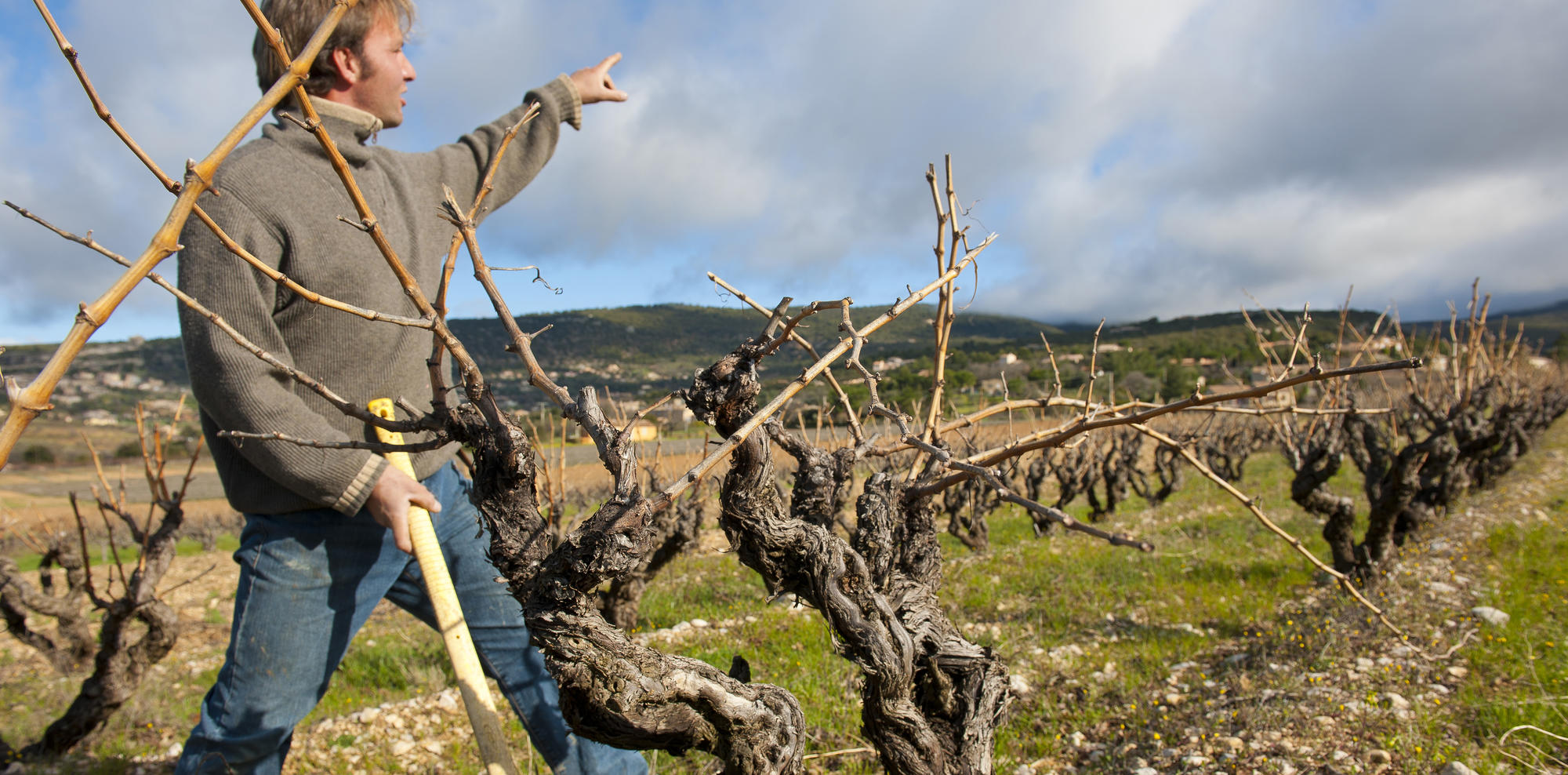 Moyens humains - Connaissance du vignoble